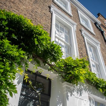 Greenery features of Islington house