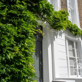 Victorian and Georgian properties - Islington house