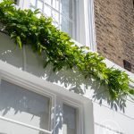 Exterior features of Islington house
