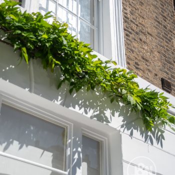Exterior features of Islington house